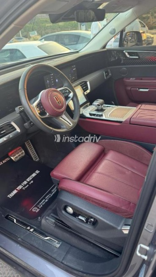 هونج تشى E-HS9 2023 رمادي أوتوماتيك مستعملة للبيع في مدينة الشيخ زايد - 3
