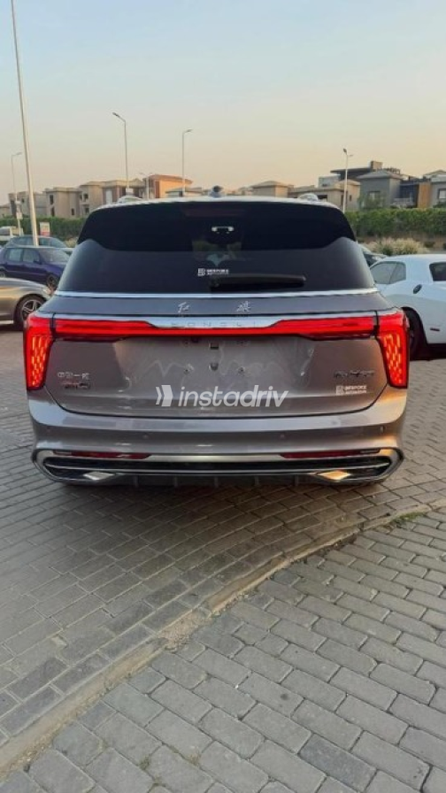 هونج تشى E-HS9 2023 رمادي أوتوماتيك مستعملة للبيع في مدينة الشيخ زايد - 9