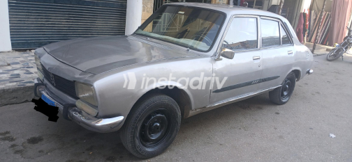 Peugeot 504 1975 Gray Manual Used for Sale in Greater Cairo ( Cairo + Giza) - 3