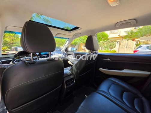 Chevrolet Captiva 2020 White Automatic Used for Sale in Sheikh Zayed City - 10