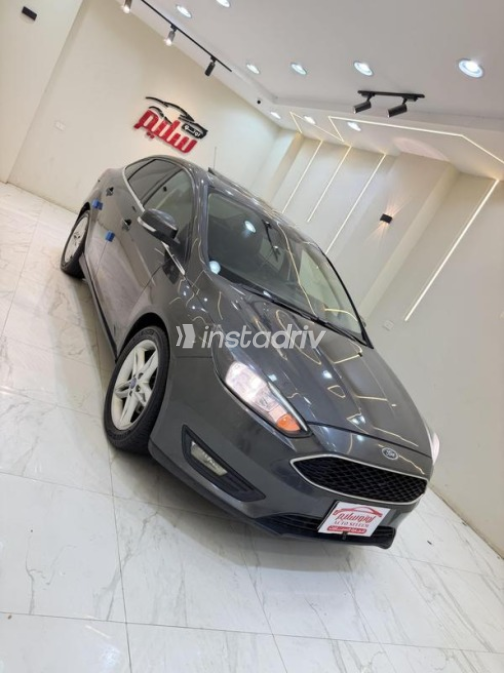 Ford Focus 2015 Gray Automatic Used for Sale in Menouf - 4