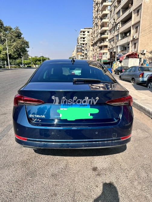 Skoda Octavia A8 2021 White Automatic Used for Sale in Greater Cairo ( Cairo + Giza) - 6