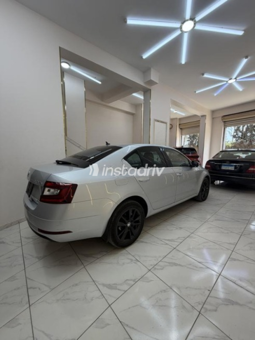 Skoda Octavia 2020 Silver Automatic Used for Sale in Alexandria - 6