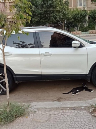 Nissan Qashqai 2019 White Automatic Used for Sale in Nasr city