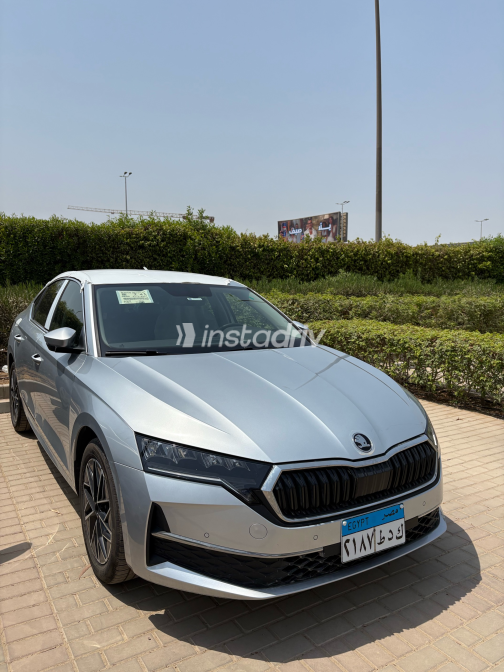 Skoda Octavia 2025 Silver Automatic Used for Sale in Greater Cairo ( Cairo + Giza) - 3