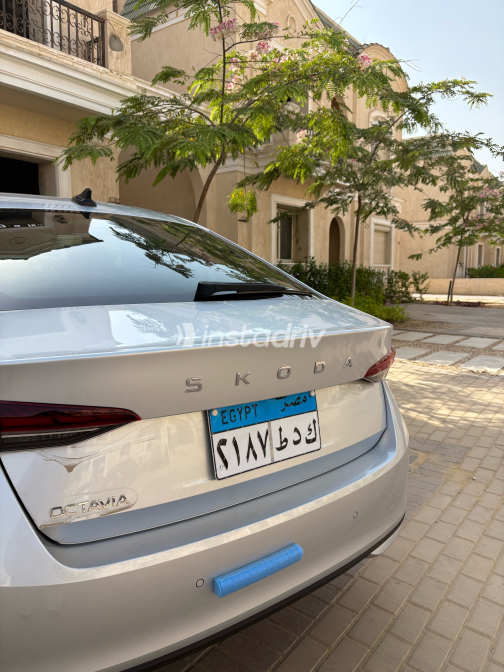 Skoda Octavia 2025 Silver Automatic Used for Sale in Greater Cairo ( Cairo + Giza) - 5
