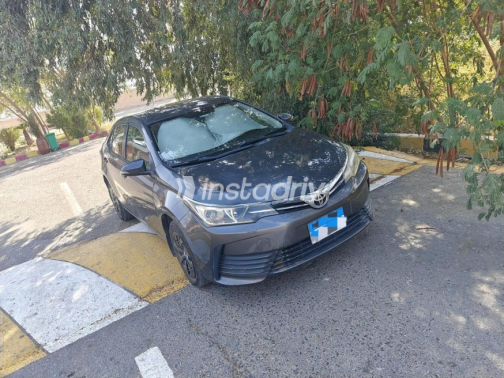 Toyota Corolla 2019 Dark Gray Automatic Used for Sale in Red Sea - 2