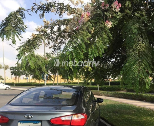 Kia Cerato 2015 Silver Automatic Used for Sale in 6 October - 6