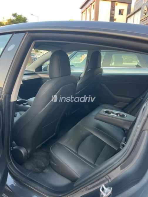 Tesla Model 3 2023 Gray Automatic Used for Sale in Sheikh Zayed City - 7