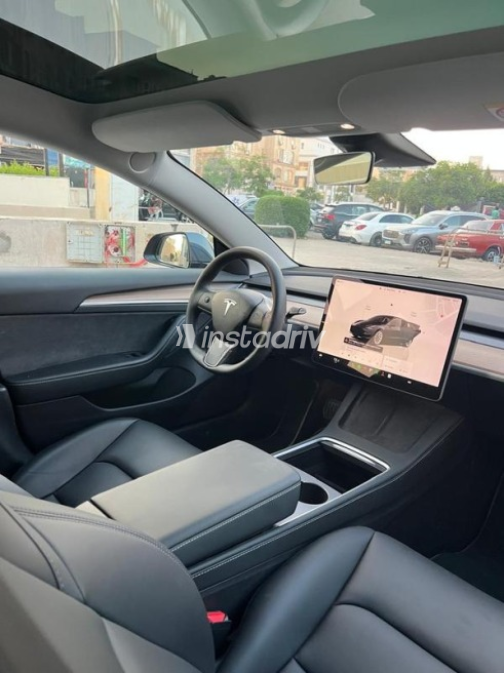 Tesla Model 3 2023 Gray Automatic Used for Sale in Sheikh Zayed City - 9