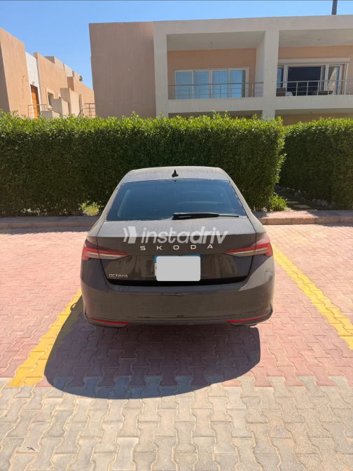 Skoda Octavia A8 2025 Black Automatic Used for Sale in Greater Cairo ( Cairo + Giza) - 1