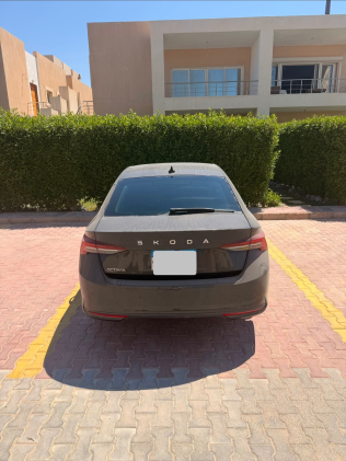 Skoda Octavia A8 2025 Black Automatic Used for Sale in Greater Cairo ( Cairo + Giza)