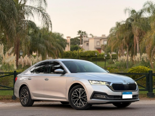 Skoda Octavia 2024 Gray Automatic Used for Sale in Maadi