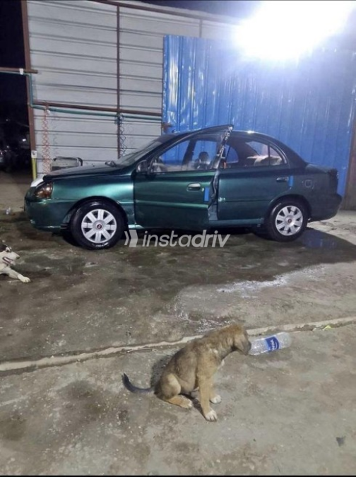 Kia Rio 2004 Dark Green Manual Used for Sale in El Haram - 3