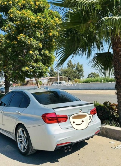 BMW 320 2019 Silver Automatic Used for Sale in Tanta - 1