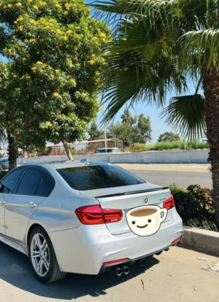 BMW 320 2019 Silver Automatic Used for Sale in Tanta