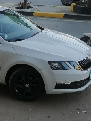 Skoda Octavia A7 2020 White Automatic Used for Sale in Alexandria