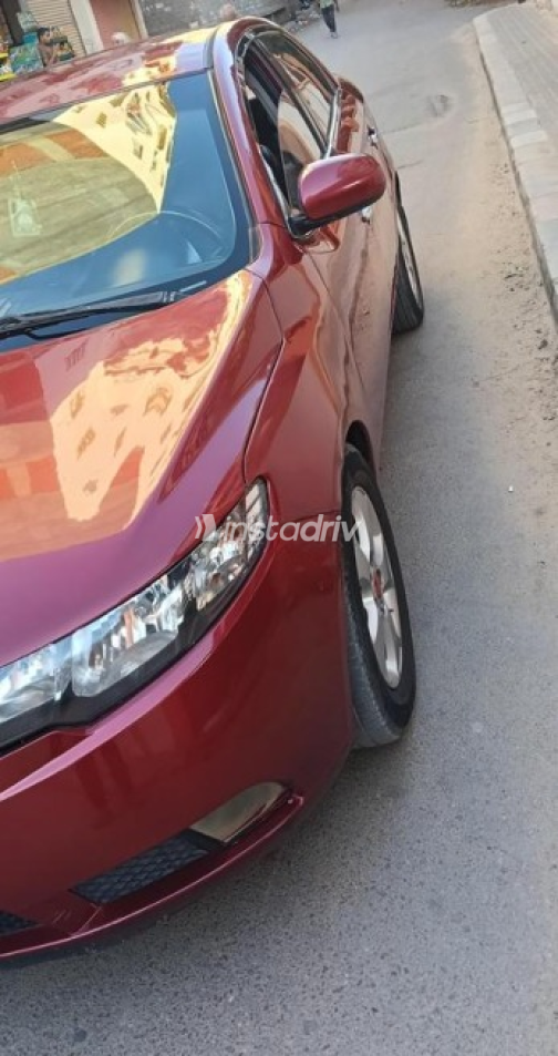 Kia Cerato 2011 Burgundy Automatic Used for Sale in Alexandria - 2