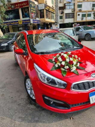 Kia Ceed 2019 Red Automatic Used for Sale in Cairo