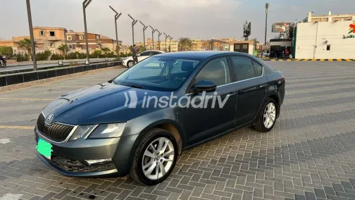 Skoda Octavia 2019 Blue Automatic Used for Sale in Greater Cairo ( Cairo + Giza) - 7