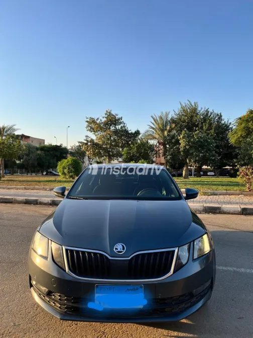 Skoda Octavia A7 2020 Gray Automatic Used for Sale in Greater Cairo ( Cairo + Giza) - 4