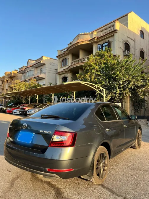 Skoda Octavia A7 2020 Gray Automatic Used for Sale in Greater Cairo ( Cairo + Giza) - 5