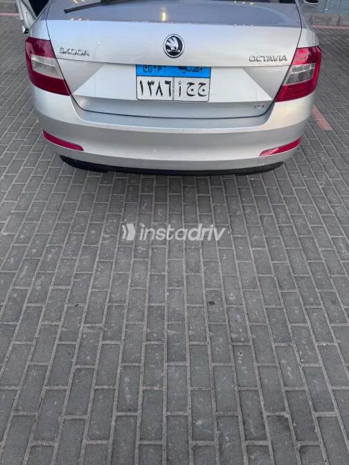 Skoda Octavia 2015 Silver Automatic Used for Sale in Greater Cairo ( Cairo + Giza) - 3