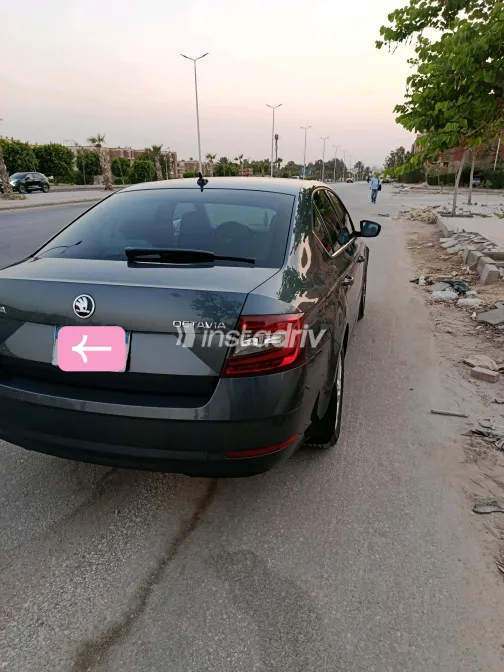 Skoda Octavia 2020 Gray Automatic Used for Sale in Greater Cairo ( Cairo + Giza) - 1