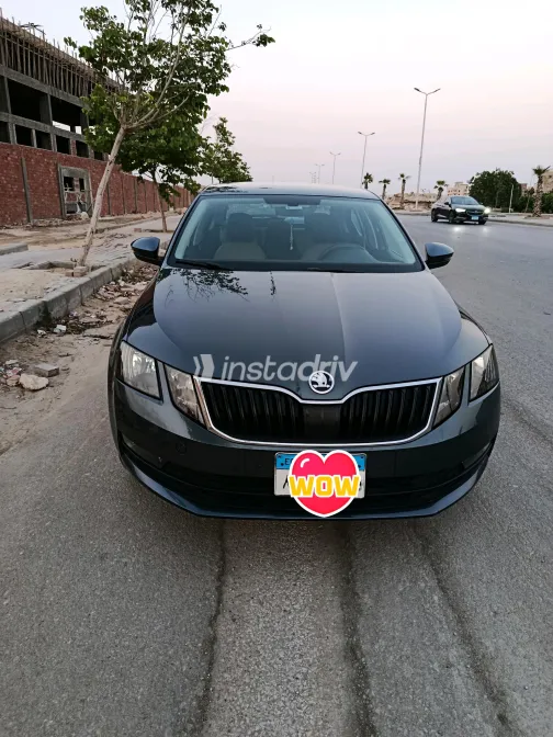 Skoda Octavia 2020 Gray Automatic Used for Sale in Greater Cairo ( Cairo + Giza) - 2