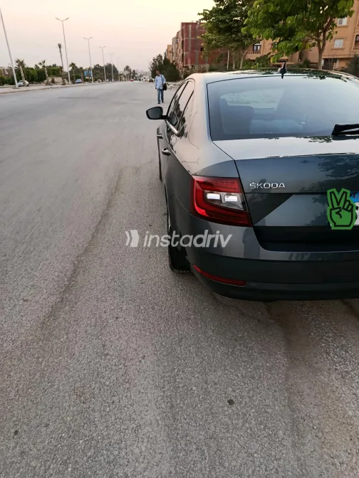Skoda Octavia 2020 Gray Automatic Used for Sale in Greater Cairo ( Cairo + Giza) - 3