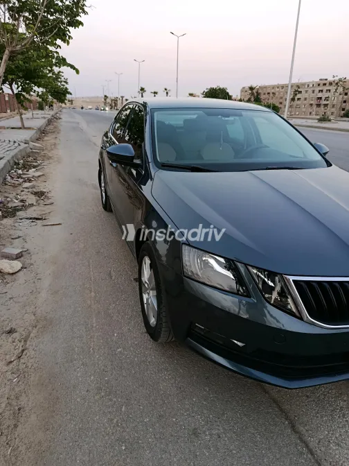 Skoda Octavia 2020 Gray Automatic Used for Sale in Greater Cairo ( Cairo + Giza) - 4