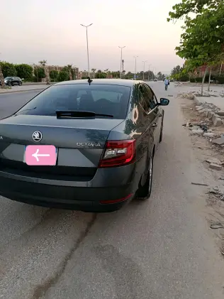 Skoda Octavia 2020 Gray Automatic Used for Sale in Greater Cairo ( Cairo + Giza)
