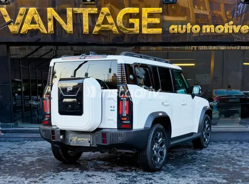 Jetour T2 2026 White Automatic Used for Sale in Greater Cairo ( Cairo + Giza) - 7