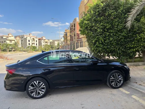 Skoda Octavia A8 2026 Black Automatic Used for Sale in Greater Cairo ( Cairo + Giza) - 4