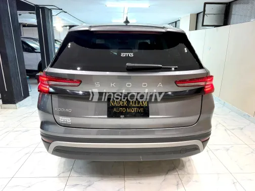 Skoda Kodiaq 2025 Gray Automatic Used for Sale in Greater Cairo ( Cairo + Giza) - 8