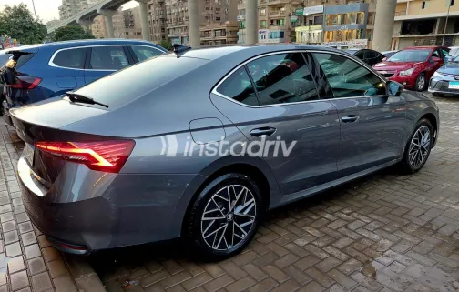 Skoda Octavia 2025 Gray Automatic Used for Sale in Greater Cairo ( Cairo + Giza) - 9