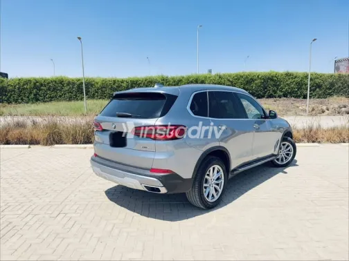 BMW X5 2020 Silver Automatic Used for Sale in Giza - 4