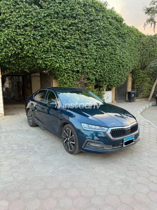 Skoda Octavia 2021 White Automatic Used for Sale in Greater Cairo ( Cairo + Giza) - 5
