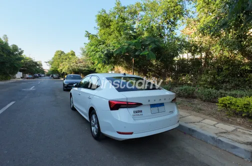 Skoda Octavia A8 2022 White Automatic Used for Sale in Greater Cairo ( Cairo + Giza) - 3