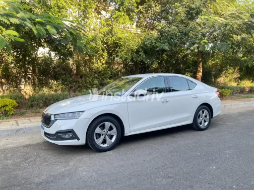 Skoda Octavia A8 2022 White Automatic Used for Sale in Greater Cairo ( Cairo + Giza) - 8