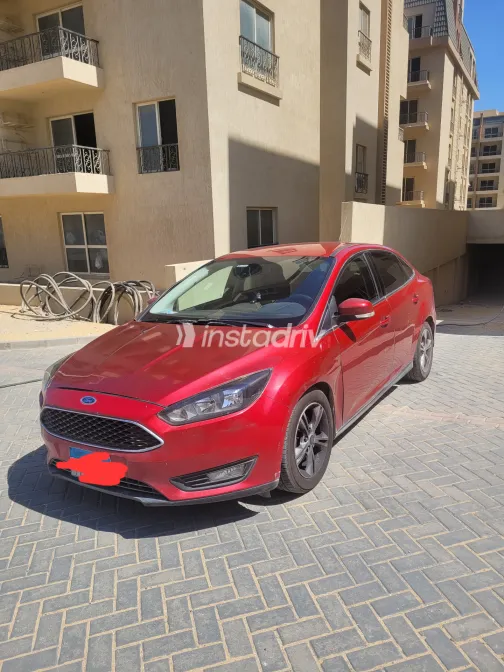 Ford Focus 2016 White Automatic Used for Sale in Greater Cairo ( Cairo + Giza) - 1