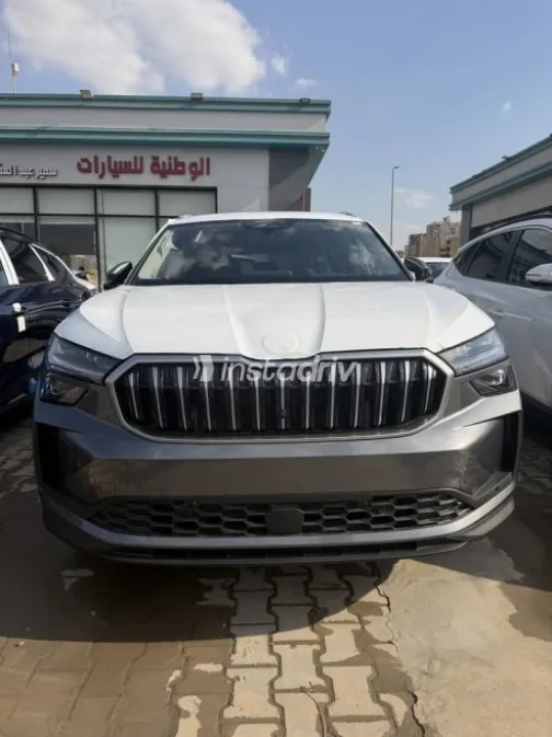 Skoda Kodiaq 2026 Gray Automatic New for Sale in Cairo - 1