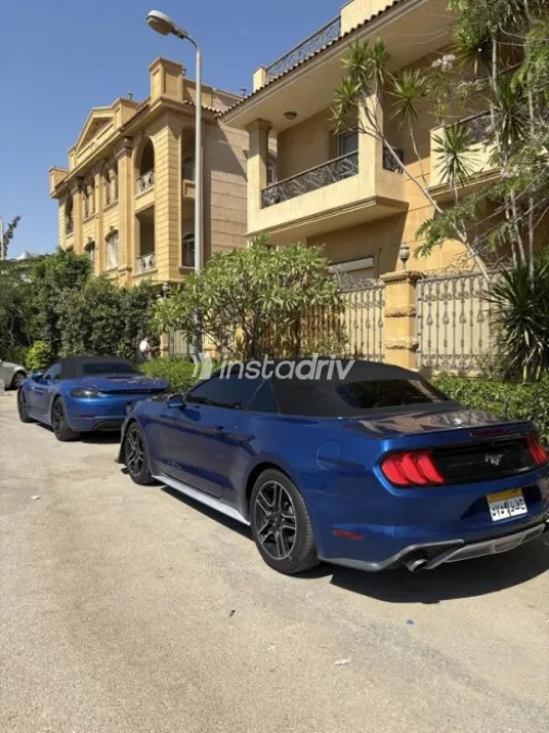 فورد موستانج 2018 أزرق أوتوماتيك مستعملة للبيع في المقطم - 7