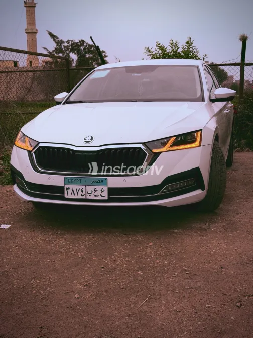 Skoda Octavia 2021 White Automatic Used for Sale in Greater Cairo ( Cairo + Giza) - 6