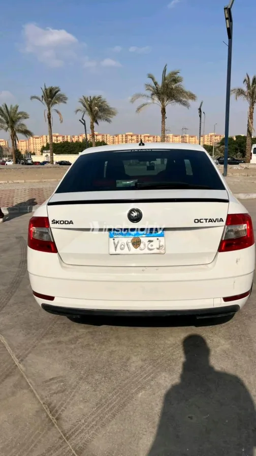 Skoda Octavia 2020 White Automatic Used for Sale in Greater Cairo ( Cairo + Giza) - 4