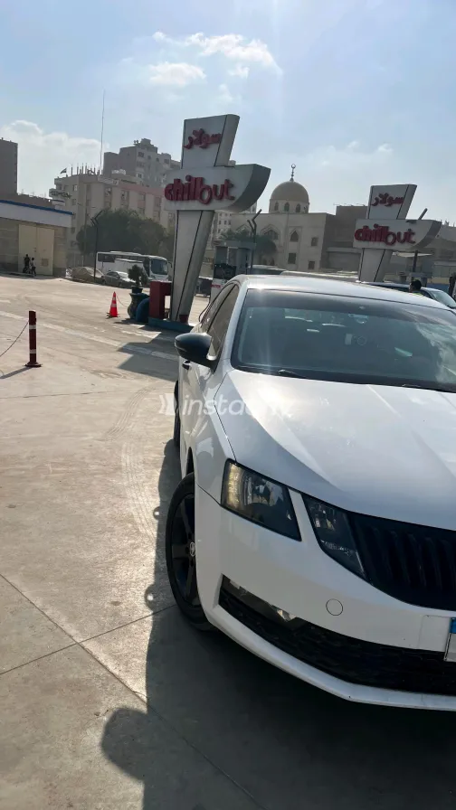 Skoda Octavia 2020 White Automatic Used for Sale in Greater Cairo ( Cairo + Giza) - 5