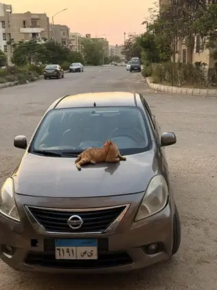 Nissan Sunny 2015 Bronze Automatic Used for Sale in 6 October