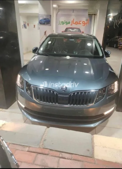 Skoda Octavia 2020 Gray Automatic Used for Sale in Greater Cairo ( Cairo + Giza) - 1