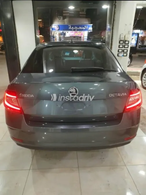 Skoda Octavia 2020 Gray Automatic Used for Sale in Greater Cairo ( Cairo + Giza) - 2