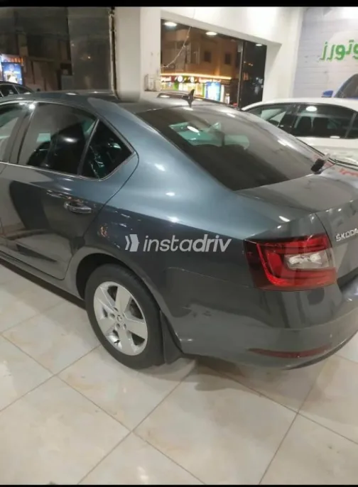 Skoda Octavia 2020 Gray Automatic Used for Sale in Greater Cairo ( Cairo + Giza) - 3